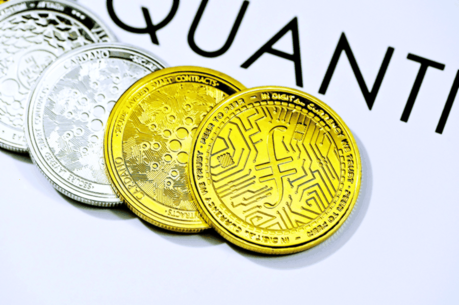 Team planning next steps for Local Photographer Marketplace with Online Booking